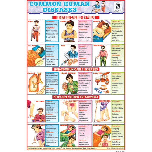 COMMAN HUMAN DISEASES SIZE 24 X 36 CMS CHART NO. 154 - Indian Book Depot (Map House)