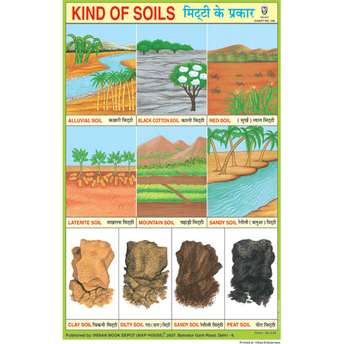 KIND OF SOILS SIZE 24 X 36 CMS CHART NO. 166 - Indian Book Depot (Map House)