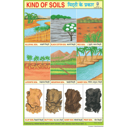 KIND OF SOILS SIZE 24 X 36 CMS CHART NO. 166 - Indian Book Depot (Map House)