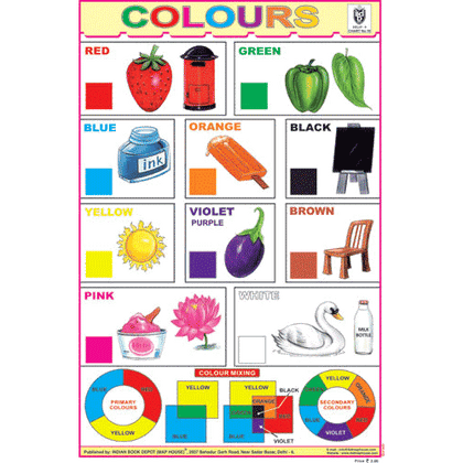 CREEPERS & CLIMBERS CHART SIZE 12X18 (INCHS) 300GSM ARTCARD