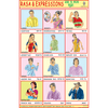 RASA & EXPRESSIONS SIZE 24 X 36 CMS CHART NO. 173 - Indian Book Depot (Map House)