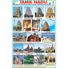 TAMIL NADU CHART SIZE 12X18 (INCHS) 300GSM ARTCARD