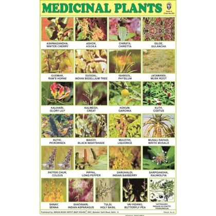 MEDICINAL PLANTS SIZE 24 X 36 CMS CHART NO. 203 - Indian Book Depot (Map House)