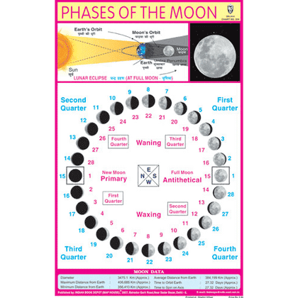 PHASES OF THE MOON CHART SIZE 12X18 (INCHS) 300GSM ARTCARD - Indian Book Depot (Map House)