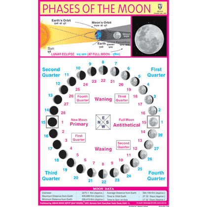 PHASES OF THE MOON SIZE 24 X 36 CMS CHART NO. 204 - Indian Book Depot (Map House)