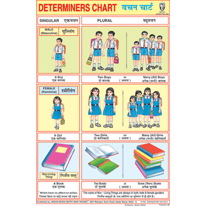 DETERMINERS CHART SIZE 12X18 (INCHS) 300GSM ARTCARD - Indian Book Depot (Map House)