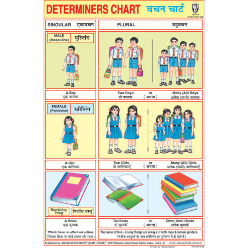 DETERMINERS CHART SIZE 24 X 36 CMS CHART NO. 206 - Indian Book Depot (Map House)