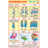 DETERMINERS CHART SIZE 12X18 (INCHS) 300GSM ARTCARD - Indian Book Depot (Map House)