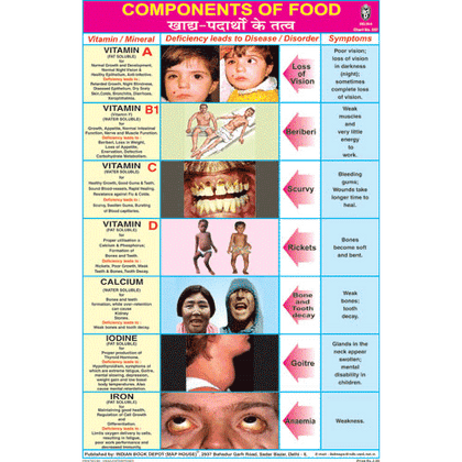 COMPONENTS OF FOOD SIZE 24 X 36 CMS CHART NO. 207 - Indian Book Depot (Map House)