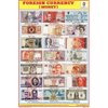 FOREIGN CURRENCY CHART SIZE 12X18 (INCHS) 300GSM ARTCARD - Indian Book Depot (Map House)