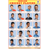 INDIAN CRICKET PLAYERS CHART SIZE 12X18 (INCHS) 300GSM ARTCARD - Indian Book Depot (Map House)