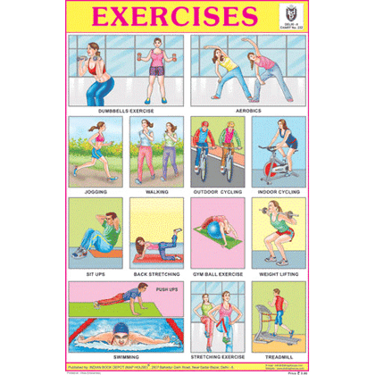 EXERCISES CHART SIZE 12X18 (INCHS) 300GSM ARTCARD - Indian Book Depot (Map House)
