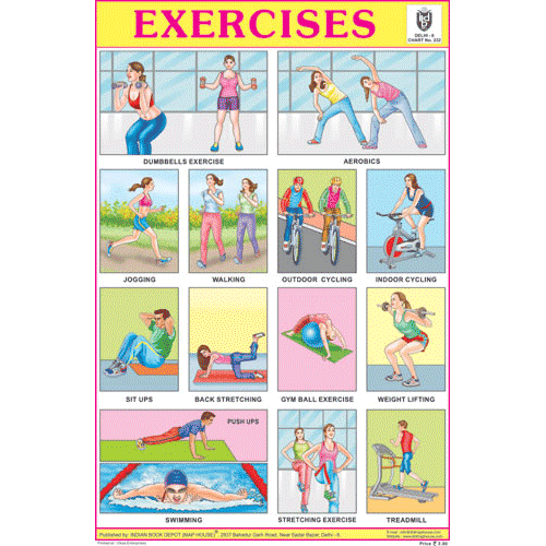 Exercise Size Chart EXERCISES SIZE 24 X 36 CMS CHART NO. 232