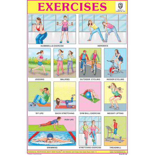 EXERCISES SIZE 24 X 36 CMS CHART NO. 232 - Indian Book Depot (Map House)