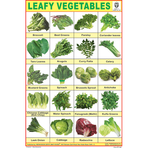 LEAFY VEGETABLES CHART SIZE 12X18 (INCHS) 300GSM ARTCARD - Indian Book Depot (Map House)