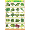 LEAFY VEGETABLES SIZE 24 X 36 CMS CHART NO. 234 - Indian Book Depot (Map House)