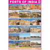 FORTS OF INDIA CHART SIZE 12X18 (INCHS) 300GSM ARTCARD - Indian Book Depot (Map House)
