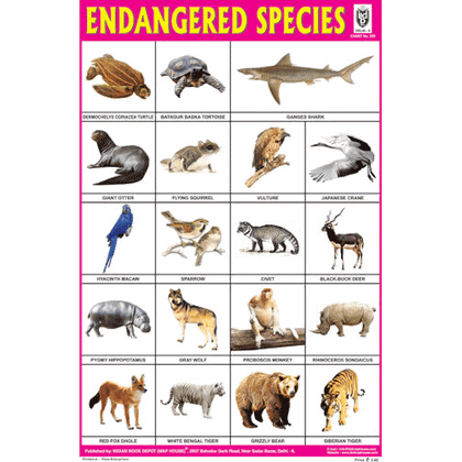 ENDANGERED SPECIES CHART SIZE 12X18 (INCHS) 300GSM ARTCARD - Indian Book Depot (Map House)