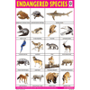 ENDANGERED SPECIES CHART SIZE 12X18 (INCHS) 300GSM ARTCARD - Indian Book Depot (Map House)