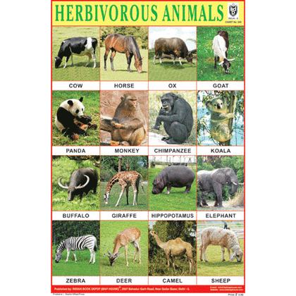 HERBIVOROUS ANIMALS CHART SIZE 12X18 (INCHS) 300GSM ARTCARD - Indian Book Depot (Map House)
