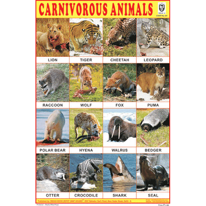 CARNIVOROUS ANIMALS SIZE 24 X 36 CMS CHART NO. 241 - Indian Book Depot (Map House)