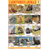CARNIVOROUS ANIMALS SIZE 24 X 36 CMS CHART NO. 241 - Indian Book Depot (Map House)