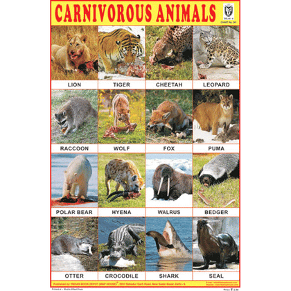 CARNIVOROUS ANIMALS CHART SIZE 12X18 (INCHS) 300GSM ARTCARD - Indian Book Depot (Map House)