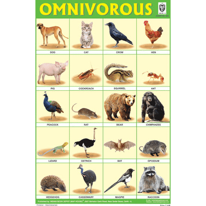 OMNIVOROUS ANIMALS CHART SIZE 12X18 (INCHS) 300GSM ARTCARD - Indian Book Depot (Map House)