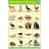 OMNIVOROUS ANIMALS CHART SIZE 12X18 (INCHS) 300GSM ARTCARD - Indian Book Depot (Map House)