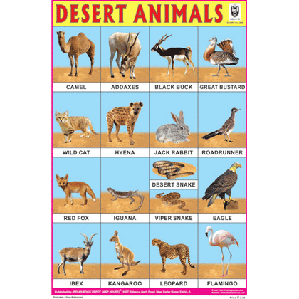 DESERT ANIMALS CHART SIZE 12X18 (INCHS) 300GSM ARTCARD - Indian Book Depot (Map House)