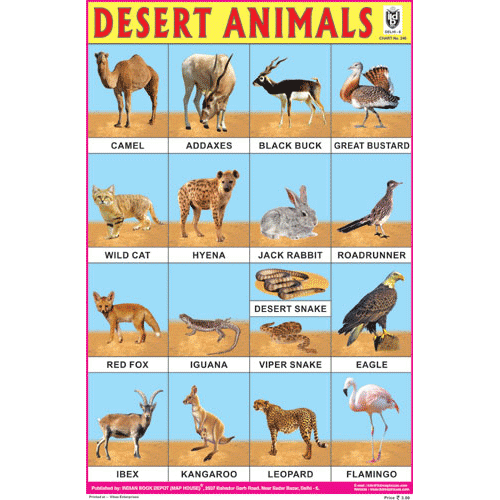 DESERT ANIMALS SIZE 24 X 36 CMS CHART NO. 246 - Indian Book Depot (Map House)