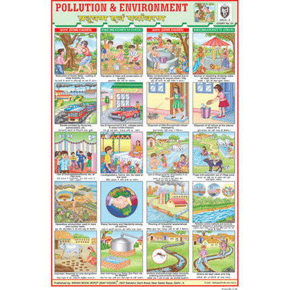 ENVIRONMENT (POLLUTION CHART) CHART SIZE 12X18 (INCHS) 300GSM ARTCARD - Indian Book Depot (Map House)