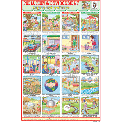 ENVIRONMENT (POLLUTION CHART) SIZE 24 X 36 CMS CHART NO. 24 - Indian Book Depot (Map House)