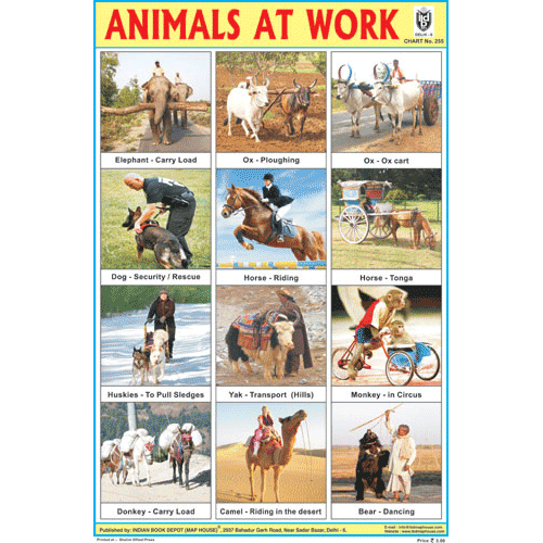 ANIMALS AT WORK SIZE 24 X 36 CMS CHART NO. 255 - Indian Book Depot (Map House)
