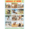 ANIMALS AT WORK SIZE 24 X 36 CMS CHART NO. 255 - Indian Book Depot (Map House)