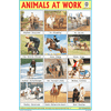 ANIMALS AT WORK CHART SIZE 12X18 (INCHS) 300GSM ARTCARD - Indian Book Depot (Map House)