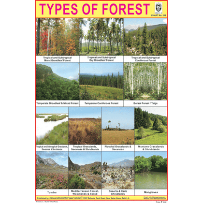 TYPES OF FOREST CHART SIZE 12X18 (INCHS) 300GSM ARTCARD - Indian Book Depot (Map House)