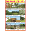 TYPES OF FOREST SIZE 24 X 36 CMS CHART NO. 258 - Indian Book Depot (Map House)