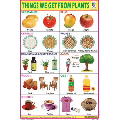 THINGS WE GET FROM PLANTS CHART SIZE 12X18 (INCHS) 300GSM ARTCARD - Indian Book Depot (Map House)