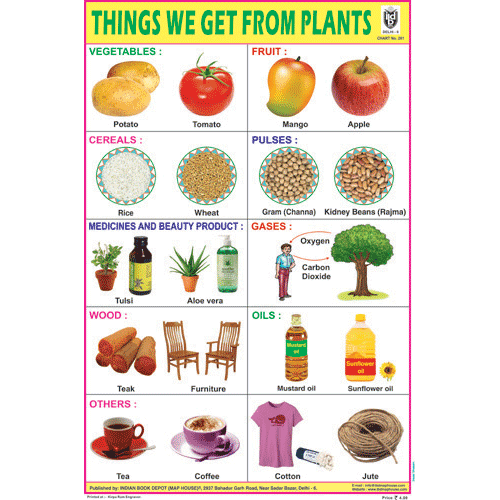 THINGS WE GET FROM PLANTS SIZE 24 X 36 CMS CHART NO. 261 - Indian Book Depot (Map House)