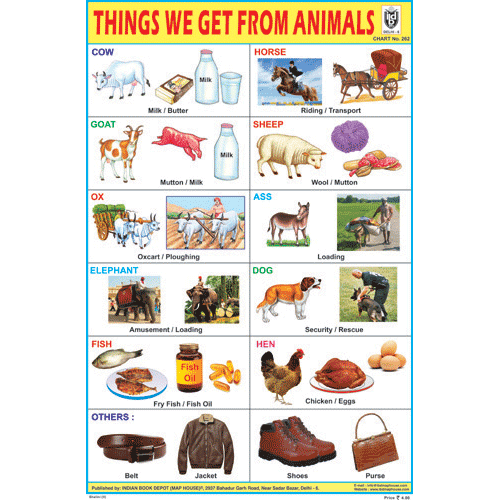 THINGS WE GET FROM ANIMALS SIZE 24 X 36 CMS CHART NO. 262 - Indian Book Depot (Map House)