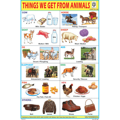 THINGS WE GET FROM ANIMALS CHART SIZE 12X18 (INCHS) 300GSM ARTCARD - Indian Book Depot (Map House)
