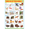 THINGS WE GET FROM ANIMALS CHART SIZE 12X18 (INCHS) 300GSM ARTCARD - Indian Book Depot (Map House)