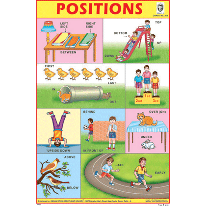 POSITION CHART SIZE 12X18 (INCHS) 300GSM ARTCARD - Indian Book Depot (Map House)