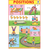 POSITION CHART SIZE 12X18 (INCHS) 300GSM ARTCARD - Indian Book Depot (Map House)