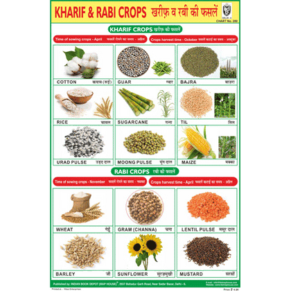 KHARIF CROPS CHART SIZE 12X18 (INCHS) 300GSM ARTCARD - Indian Book Depot (Map House)