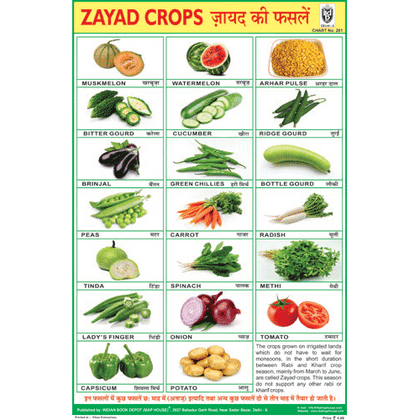 RABI CROPS CHART SIZE 12X18 (INCHS) 300GSM ARTCARD - Indian Book Depot (Map House)