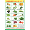 RABI CROPS SIZE 24 X 36 CMS CHART NO. 281 - Indian Book Depot (Map House)