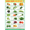 RABI CROPS CHART SIZE 12X18 (INCHS) 300GSM ARTCARD - Indian Book Depot (Map House)