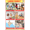 LARGE FAMILY CHART SIZE 12X18 (INCHS) 300GSM ARTCARD - Indian Book Depot (Map House)